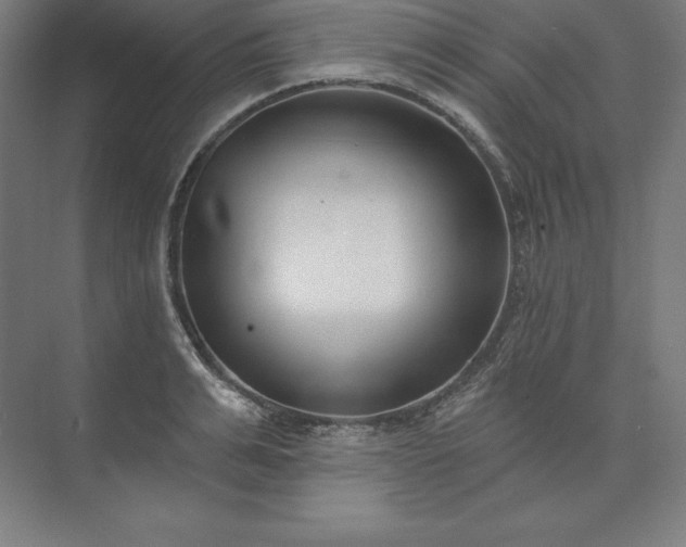 X0000074020991200609061111