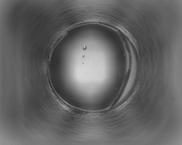 X0000074020993200609061111