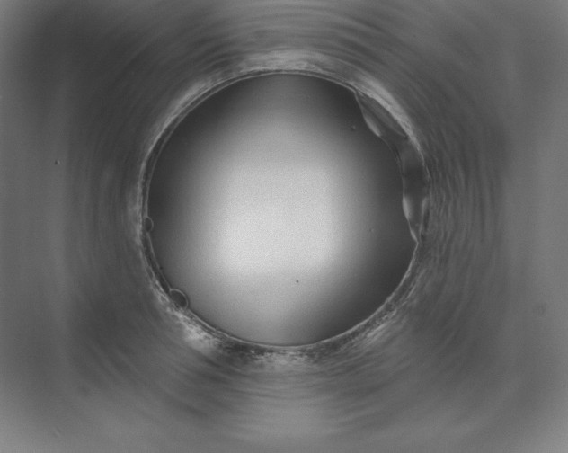 X0000074020994200609061111