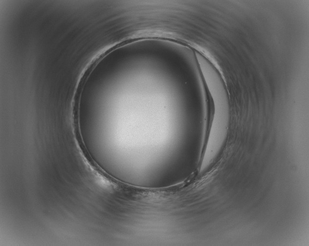 X0000074020995200609061111