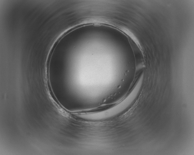 X0000074020996200609061111