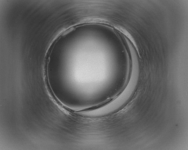 X0000074020997200609061111