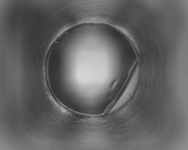 X0000074020998200609061111