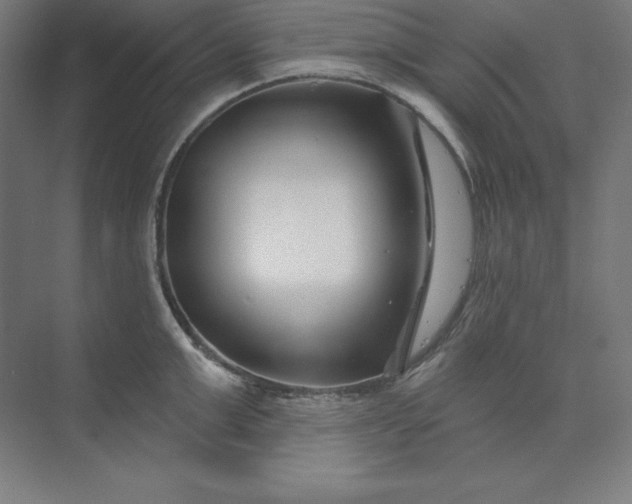 X0000074020999200609061111