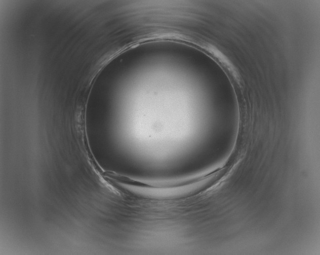X0000074021001200609061111