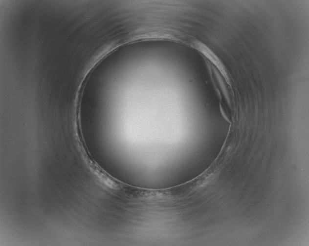 X0000074021002200609061111
