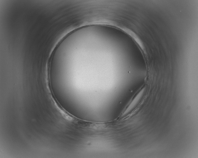 X0000074021006200609061110