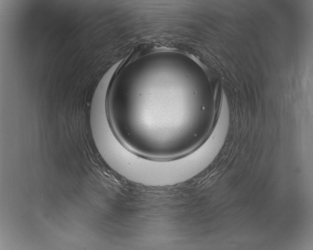 X0000074021010200609061110