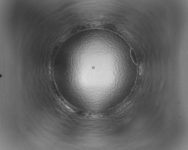 X0000074021011200609061110