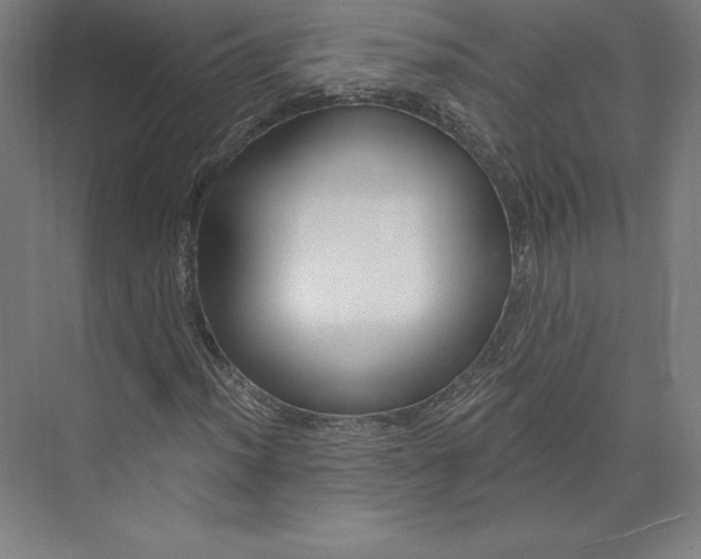 X0000074021012200609061110