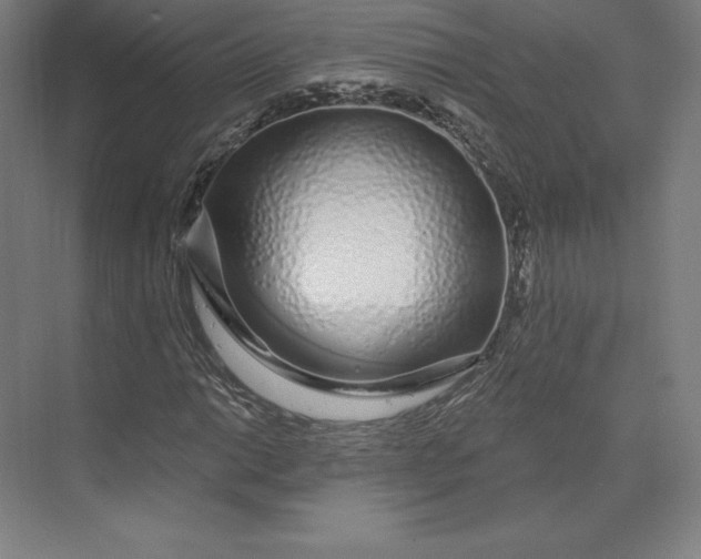 X0000074021014200609061110