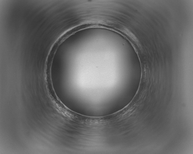 X0000074021020200609061110
