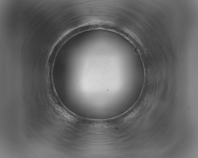 X0000074021021200609061110