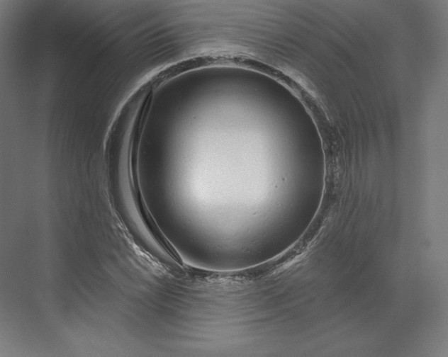 X0000074021022200609061110