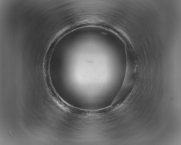 X0000074021026200609061110