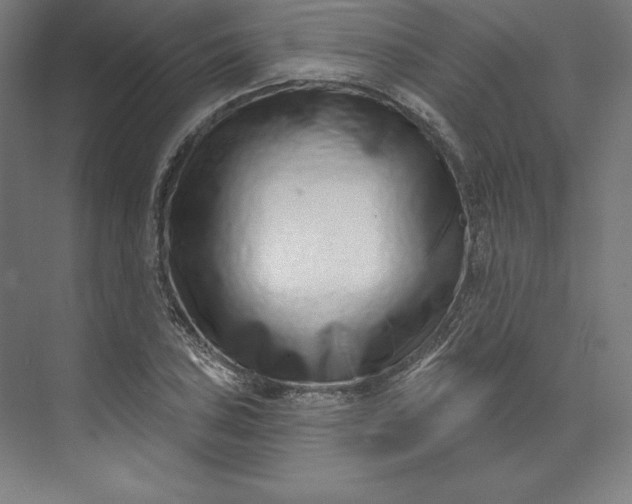 X0000074021027200609061110