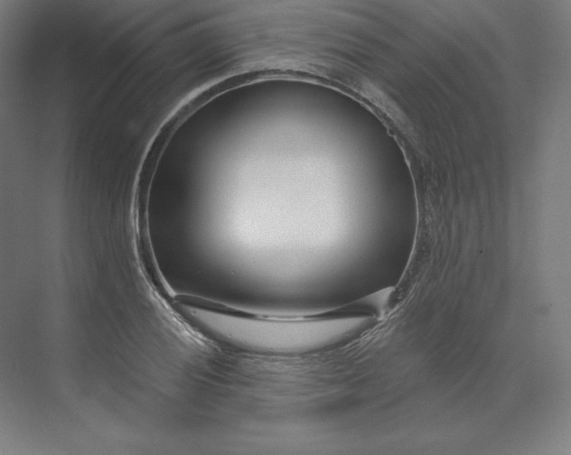 X0000074021028200609061110