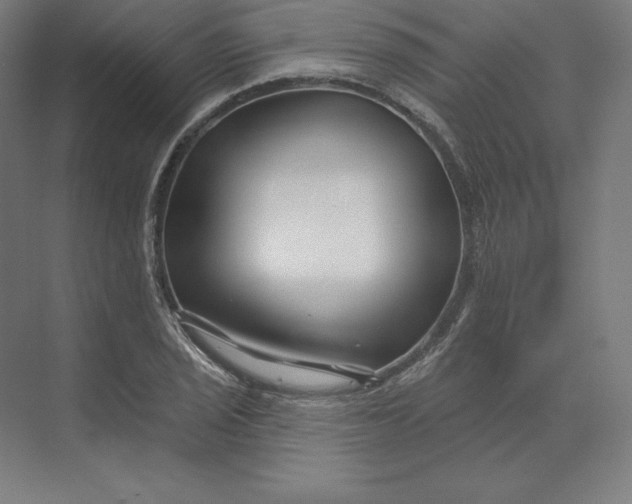 X0000074021029200609061110