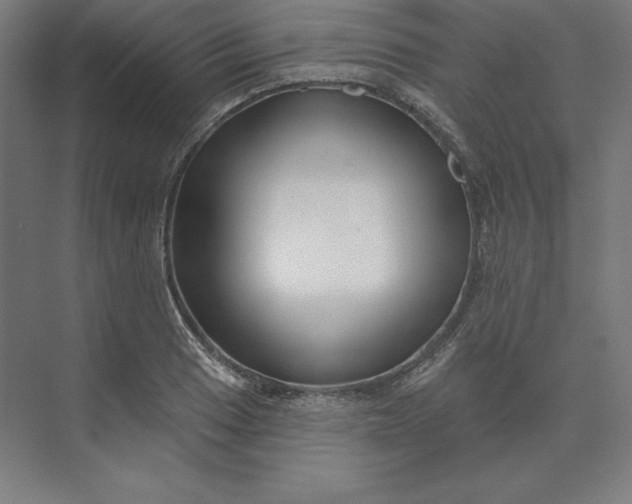 X0000074021033200609061110