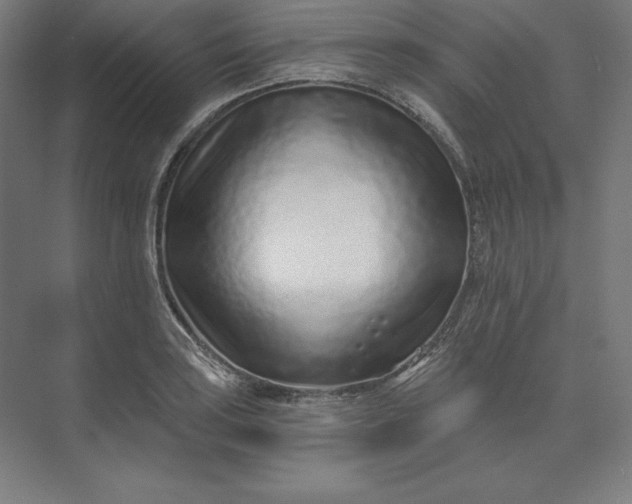 X0000074021035200609061110
