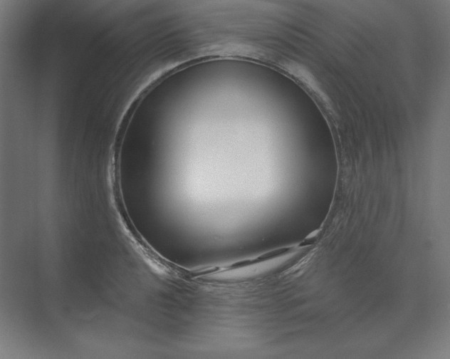 X0000074021040200609061110