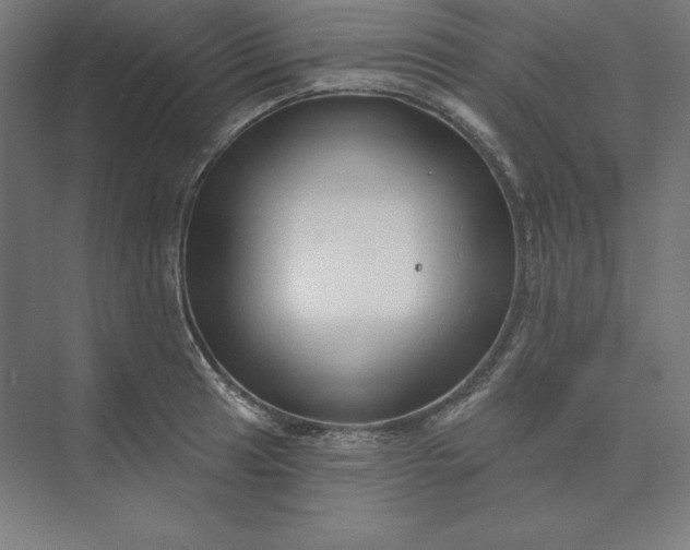 X0000074021041200609061110