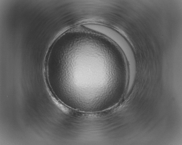 X0000074021042200609061110