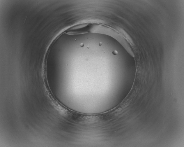 X0000074021044200609061110