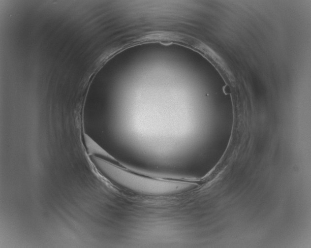 X0000074021049200609061110