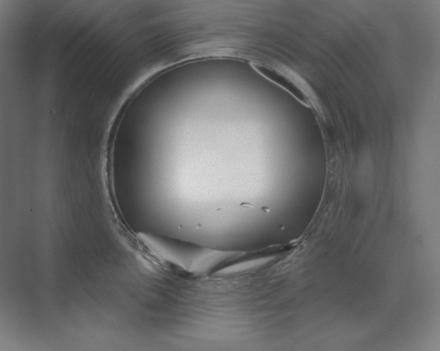 X0000074021051200609061110
