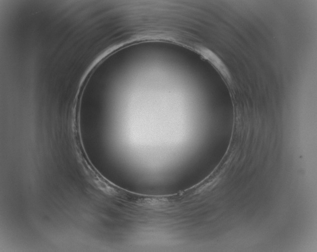 X0000074021052200609061110