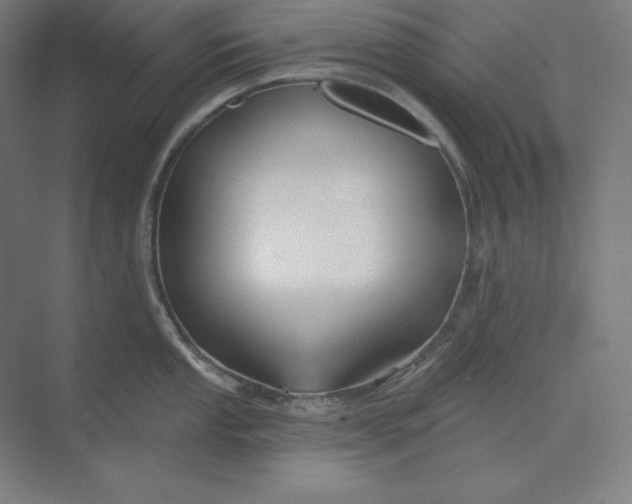 X0000074021053200609061110