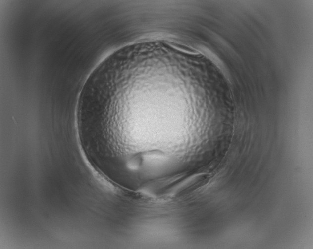 X0000074021055200609061110