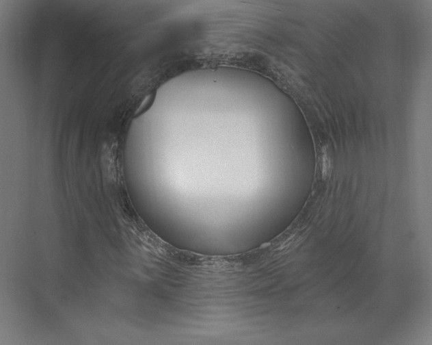 X0000074021059200609061110