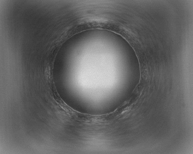 X0000074021061200609061110