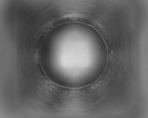 X0000074021062200609061110