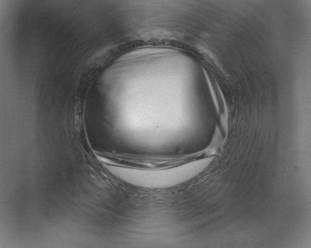 X0000074021063200609061109