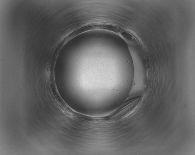 X0000074021065200609061109
