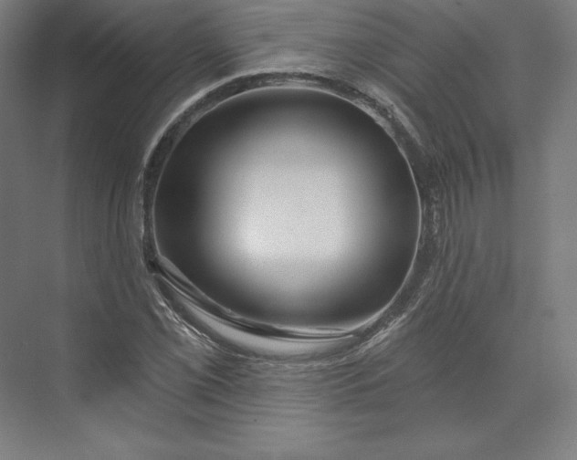 X0000074021069200609061109