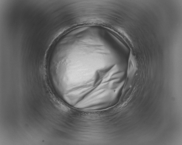 X0000074021071200609061109