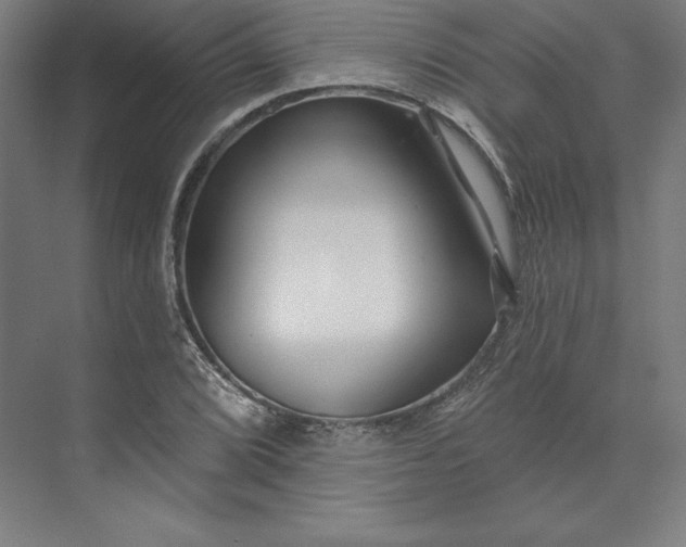 X0000074021072200609061109