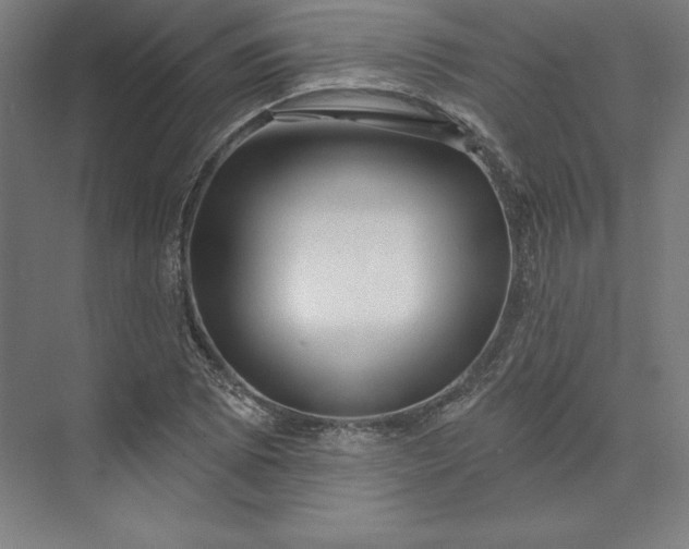 X0000074021073200609061109