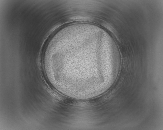 X0000074021074200609061109