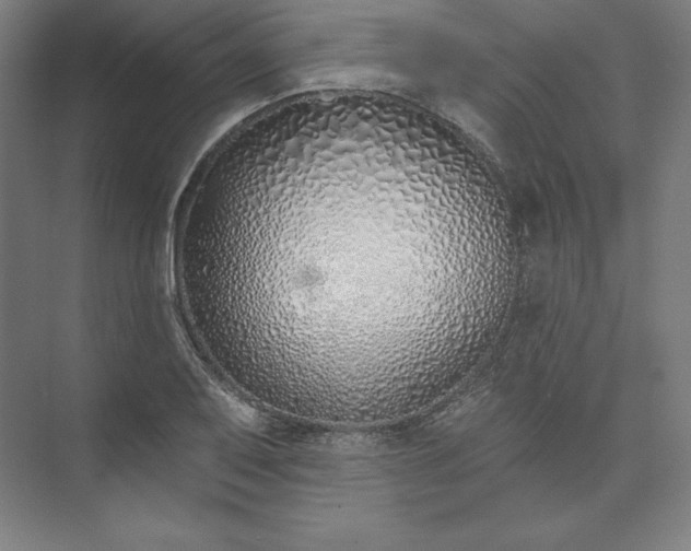 X0000074021079200609061109