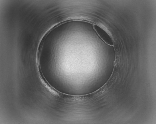 X0000074021084200609061109