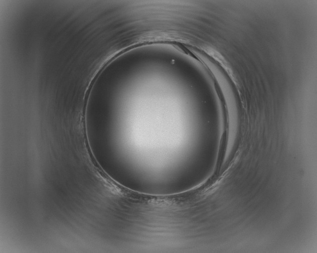 X0000074021089200609061109