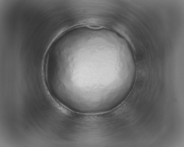 X0000074021091200609061109