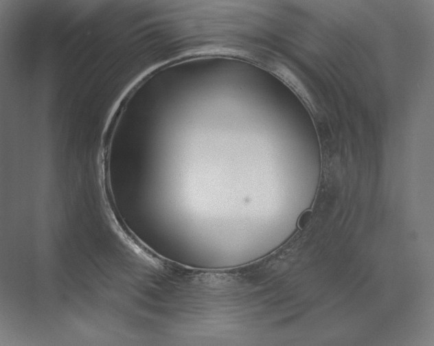 X0000074021092200609061109
