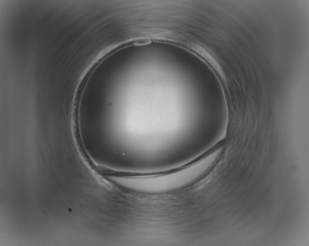 X0000074021093200609061109