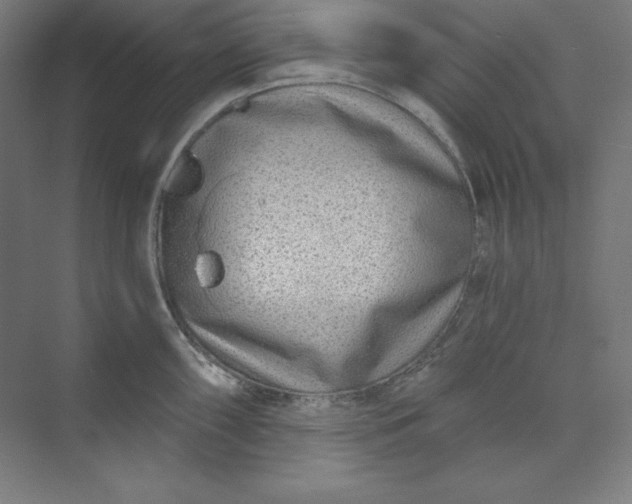 X0000074021098200609061109